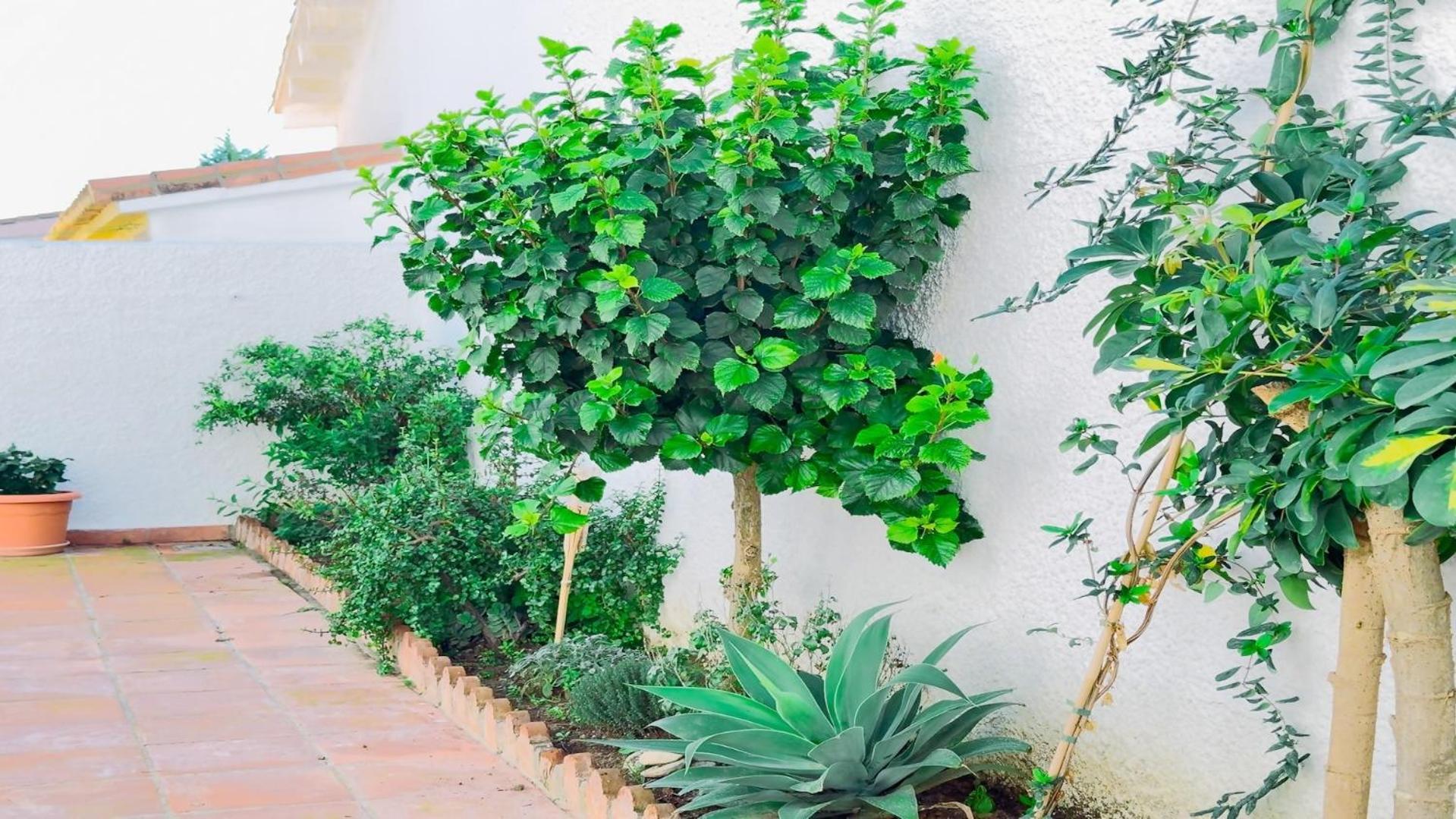 Vivienda Con Encanto Goya Nº4 Benalmádena Eksteriør bilde